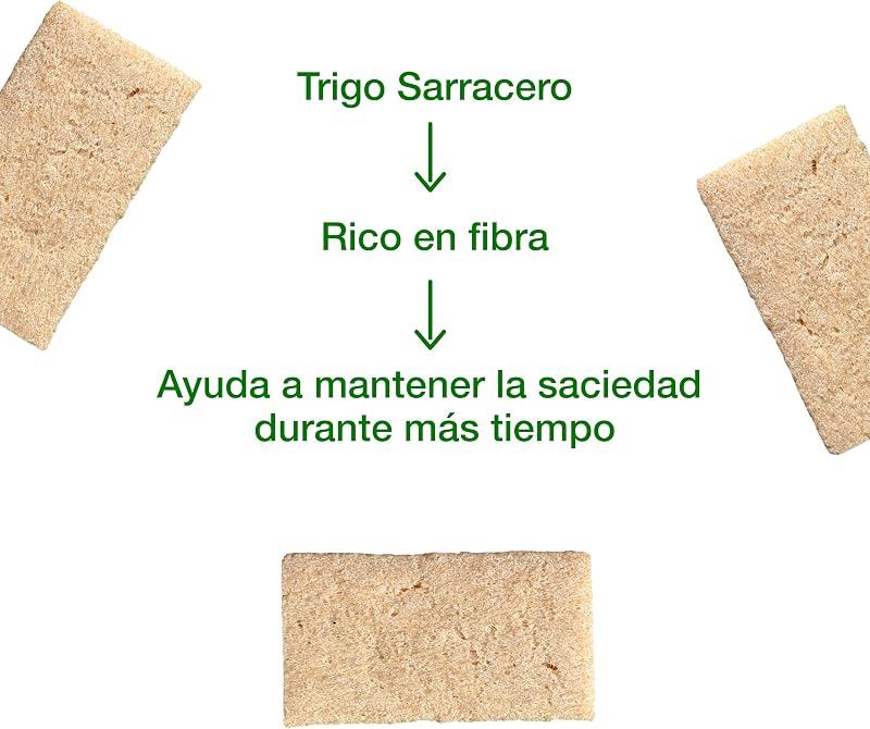 - Tostadas Trigo Sarraceno Bio Sin Gluten - Veganas - 100 g