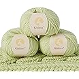 GISIMO 100% Merino Wool Yarn, 6-Ply Luxurious and Soft Yarn for Hand Knitting & Crocheting, 1.76 OZ/50g, 127 yds/116 Meters (Tender Green, 3 Balls)