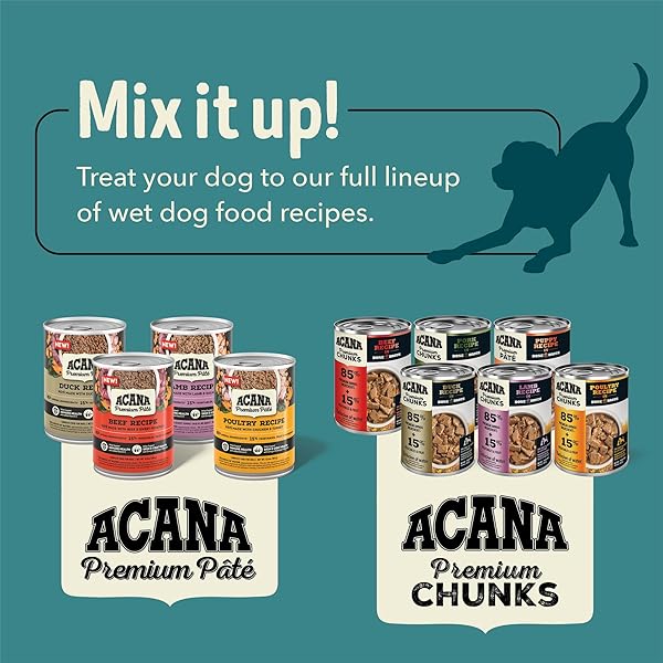 ACANA PREMIUM PATE IN BONE BROTH GRAIN-FREE WET DOG FOOD PUPPY RECIPE 12.8OZ CANS (12 COUNT)