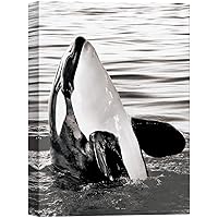 SIGNWIN Canvas Wall Art A Killer Whale Stands in The Middle of The Sea Marine Life Ocean Photography Modern Art Beach Dramatic Black and White for Living Room, Bedroom, Office - 12x18 inches