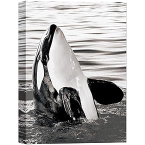 SIGNWIN Canvas Wall Art A Killer Whale Stands...