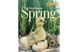 Everything Spring