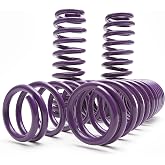 D2 PRO Lowering Springs for 16-25 Civic / 17-25 Si / 22+ Integra