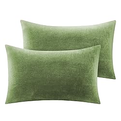 BEDELITE Flannel Pillow Cases Queen Size Set of
