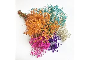 Birtlynn Preserved Baby's Breath, 100% Natrual Gypsophila Long Lasting Flowers for Vase Arrangements Home Decoration Photo Props Parties and Weddings, DIY Décor-Mix