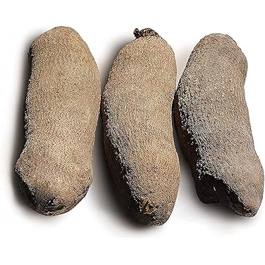 Amazon Best Sellers: Best Fresh Yams