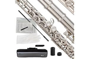 BAHAMUT 16keys Flute, C Foot Beginner Flute with Closed Hole, Offset G, Split E - Ideal Flute Instrument for Beginners