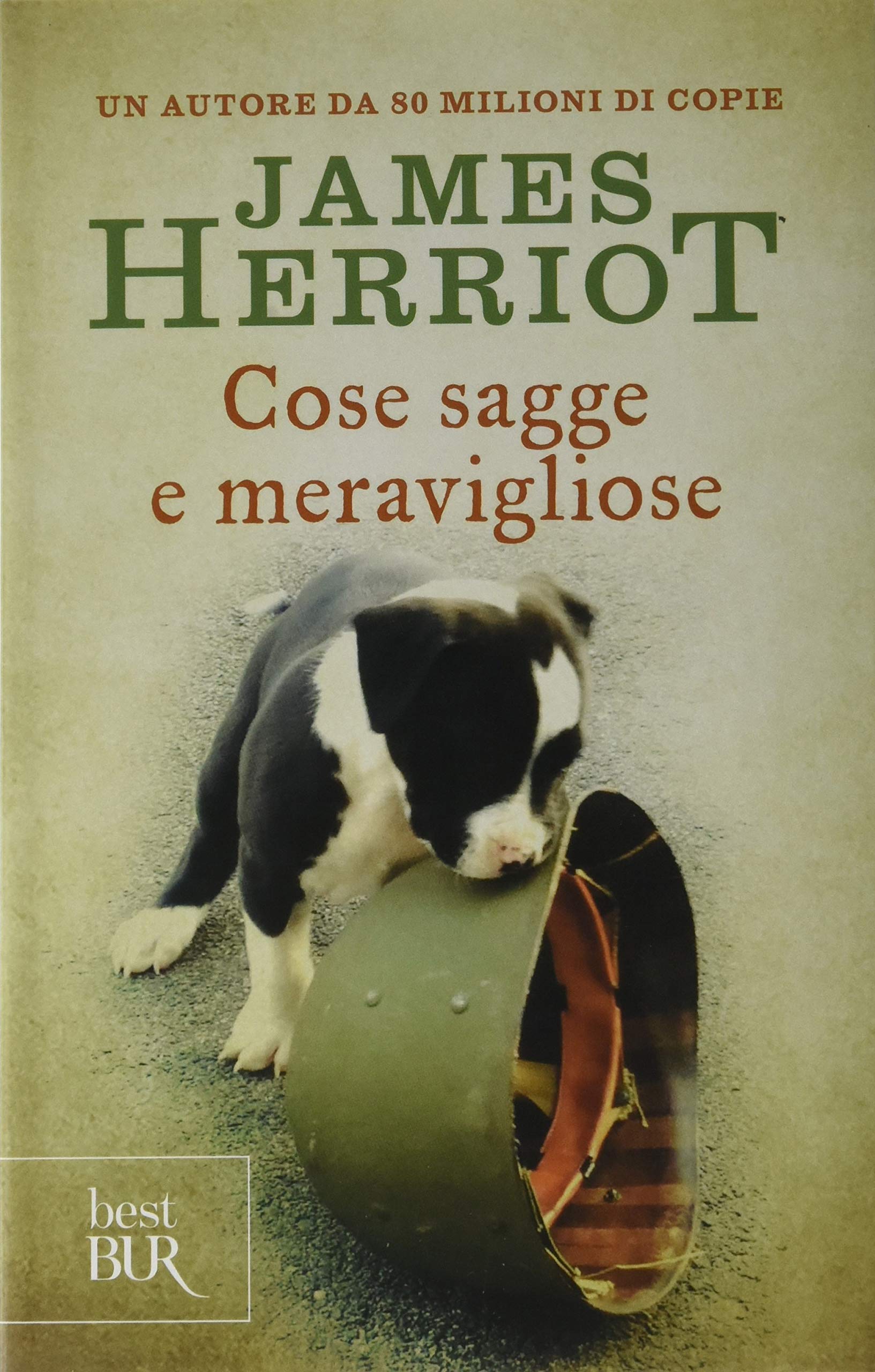 Amazon It Cose Sagge E Meravigliose Herriot James Oddera B Libri