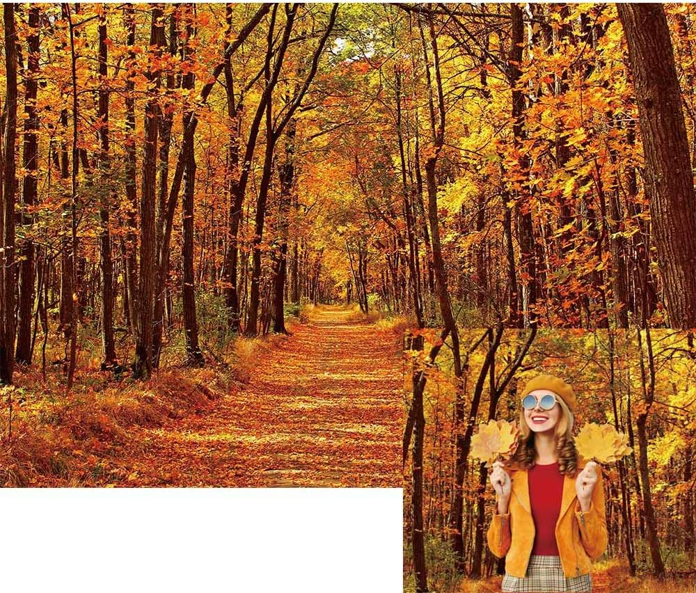 Amazon Com Allenjoy 7x5ft Autumn Forest Path Photography Backdrop Fall Deciduous Natural Scenery Background For Boys Girls Adults Outdoor Travel Birthday Wedding Party Decor Banner Portrait Photo Booth Props Camera Photo