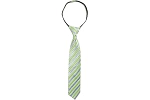 Spring Notion Boys' Pre-tied Woven Zipper Tie