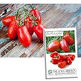 Rio Grande Tomato Seeds for Planting, 200+ Heirloom