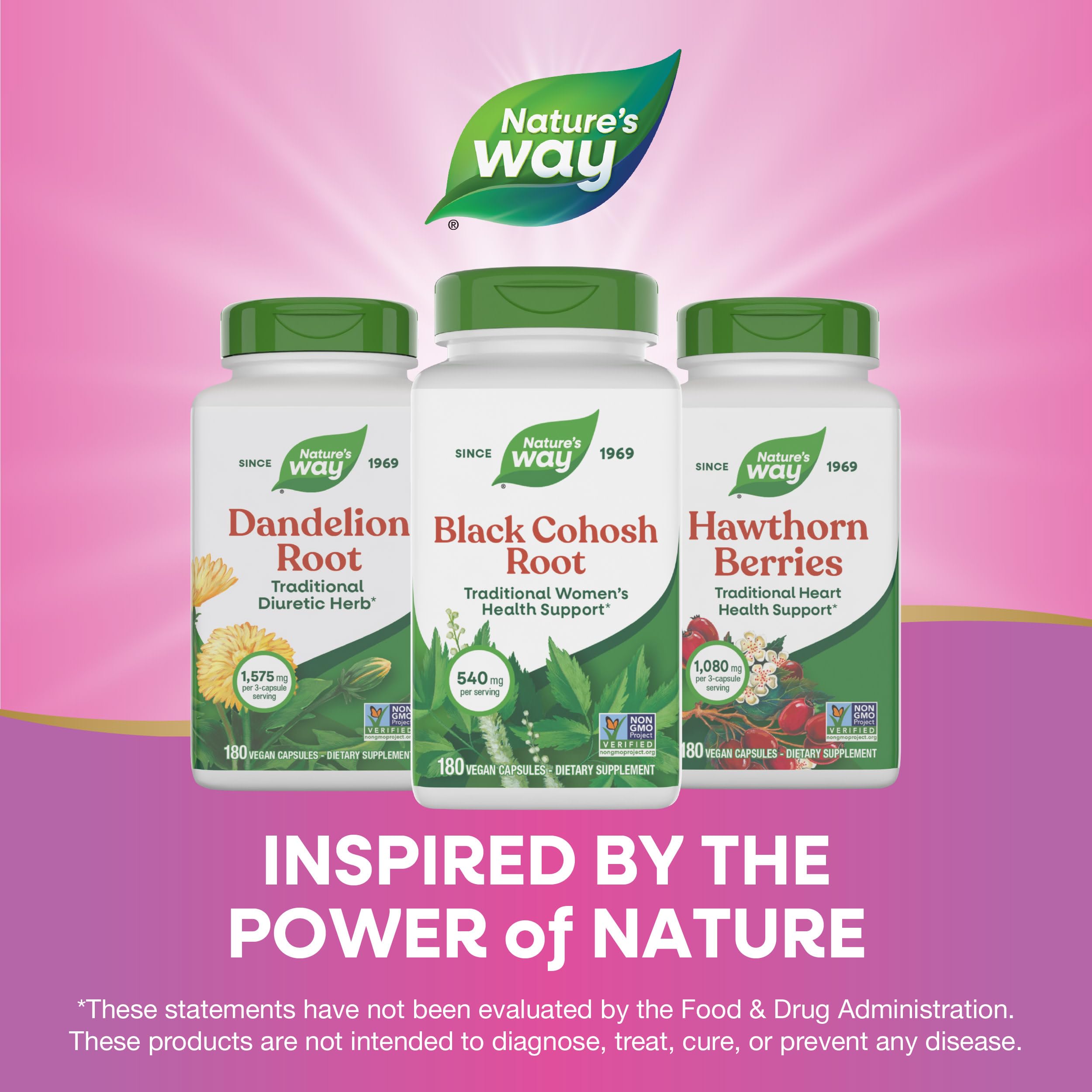 Nature's Way Black Cohosh Root, Traditional Support for Women's Health*, 540 mg per Serving, Non-GMO Project Verified, 180 Capsules (Packaging May Vary)