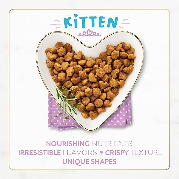 PURINA FANCY FEAST KITTEN WITH SAVORY CHICKEN AND TURKEY KITTEN DRY FOOD – 7 LB. BAG