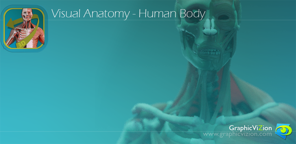 Visual Anatomy - Human body