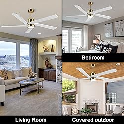 WINGBO 54 Inch DC Ceiling Fan with Lights and