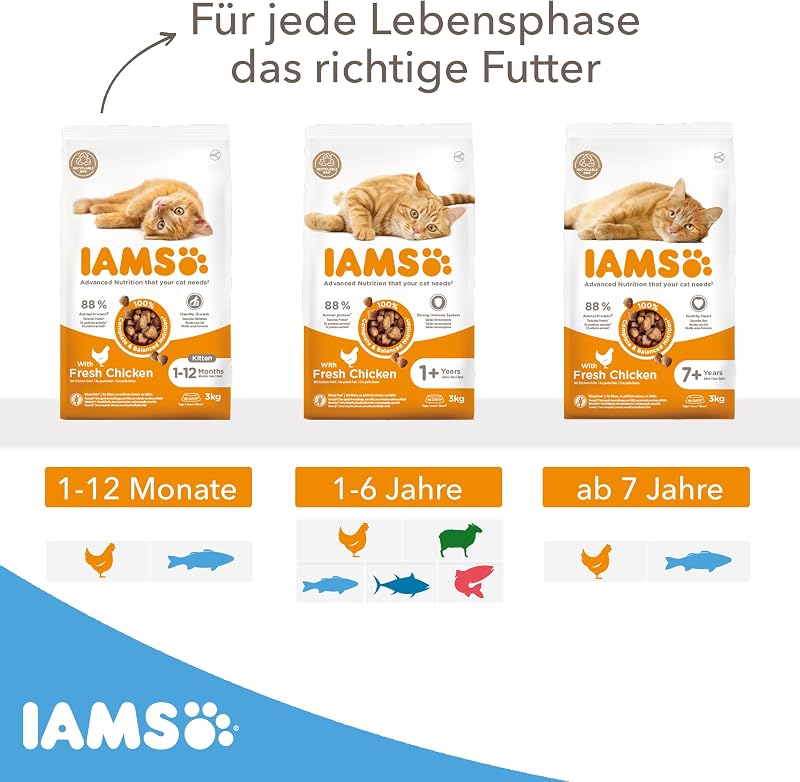 Trockenfutter mit Fisch für Kitten im Alter von 1-12 Monaten, 10 kg