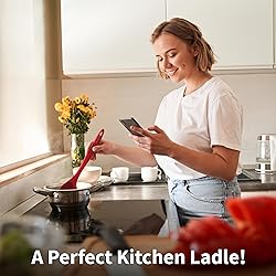 Zulay Kitchen Soup Ladle