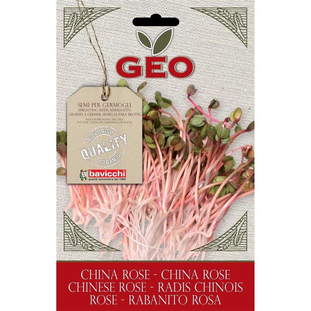 Geo Rabanito Semillas para germinar, Marrón, 12.7x0.7x20 cm ...