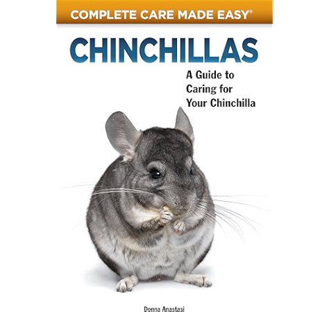 chinchilla care guide