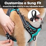 PoyPet No Pull Dog Harness Reflective Vest with 2 Leash Attachments Mint S view 5
