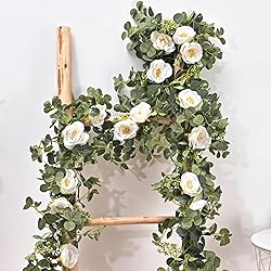 Dolicer 2 Packs 6.56Ft Eucalyptus Garland with