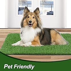 LINLA Artificial Grass Door Mat, 32x20 inches