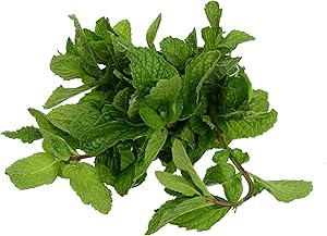 ROCK GARDEN Organic Mint, 1 OZ