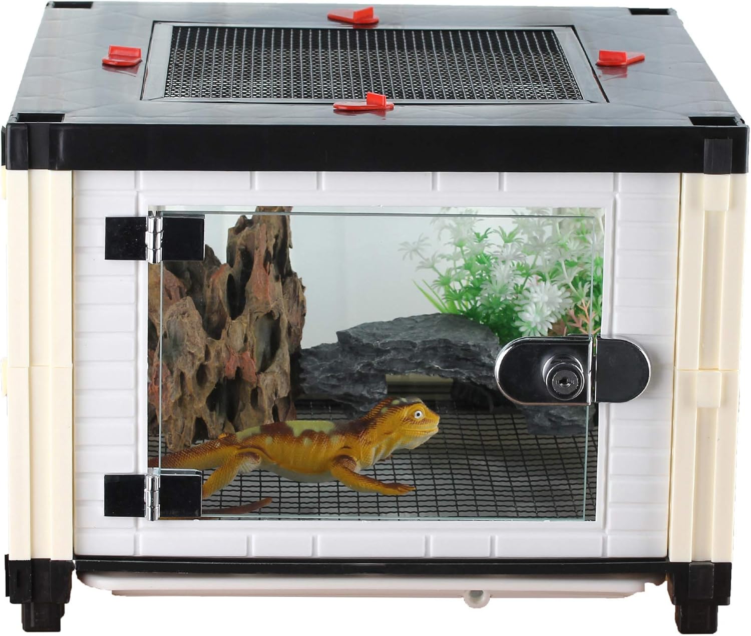 small reptile cage