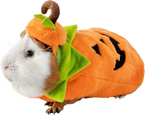 Thrills Chills Cochon D Inde Petit Animal De Compagnie Citrouille Vacances Halloween Costume De Deguisement Drole Mignon Amazon Ca Maison Et Cuisine