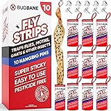 10 Fly Strips Indoor Sticky Hanging with Pins. Fly Trap Fly Paper Strips Indoor Hanging Fly Tape for Indoors and Outdoor. Fly