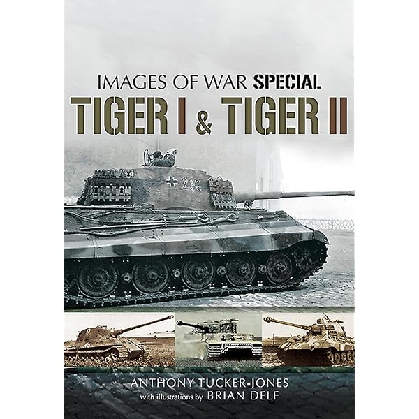 Amazon.com: Rommel's Afrika Korps in Colour: Rare German