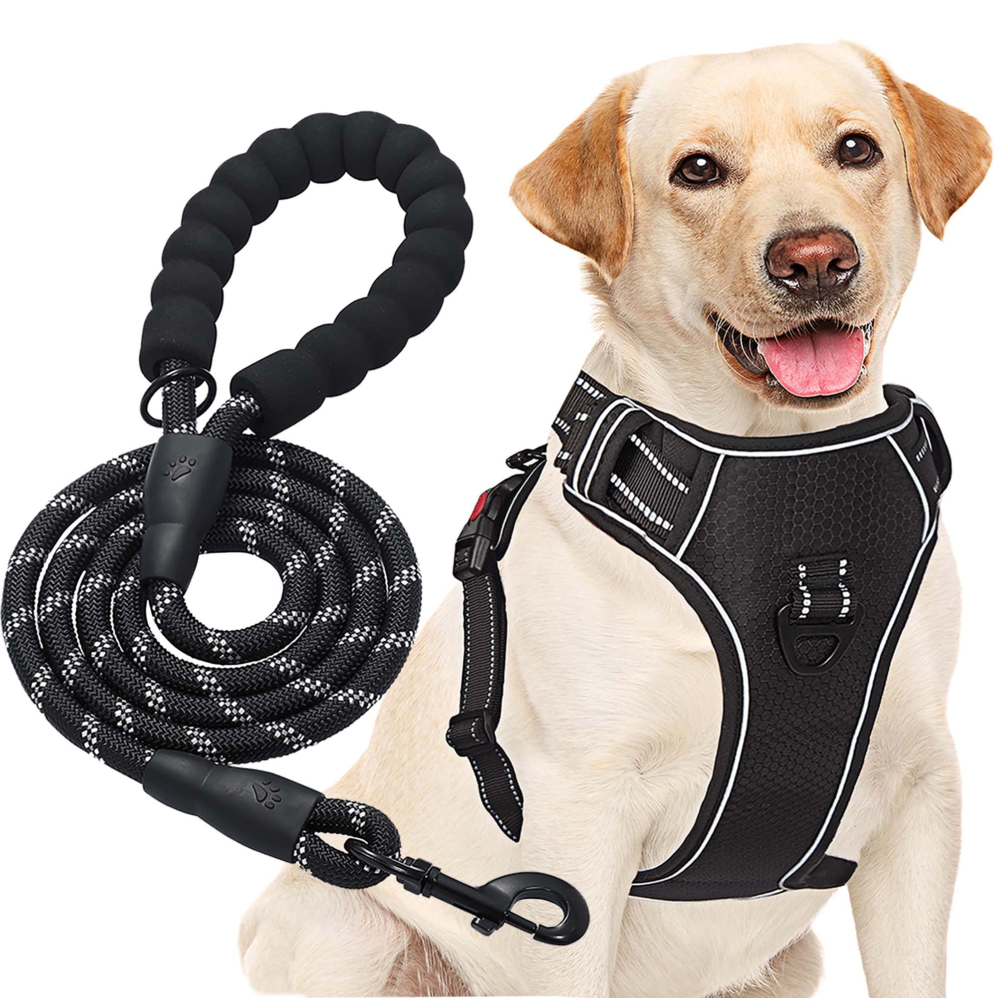 haapaw No Pull Dog Harness Adjustable Reflective Oxford Easy Control Medium Large Dog Harness with a Free Heavy Duty Dog Lead