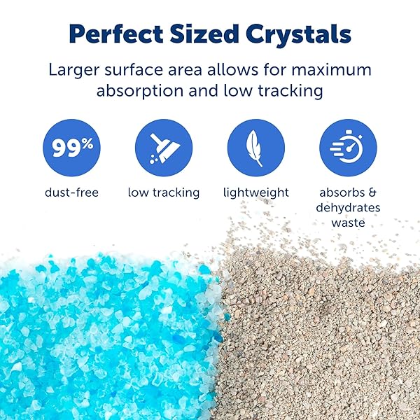 PETSAFE SCOOPFREE PREMIUM CRYSTAL CAT LITTER – OUTPERFORMS CLAY LITTER – REFILL PACKS – REUSABLE TRAY COMPATIBLE – FRESH SCENT – 4.3 LB BAGS – 2 PACK