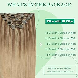 SURNEL Golden Brown to Caramel Blonde Clip in Hair