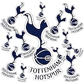 Desert Cactus Tottenham Hotspur Spurs Sticker Football Soccer Vinyl Decal Laptop Water Bottle Car Scrapbook Sheet T3 (Type 3-1)