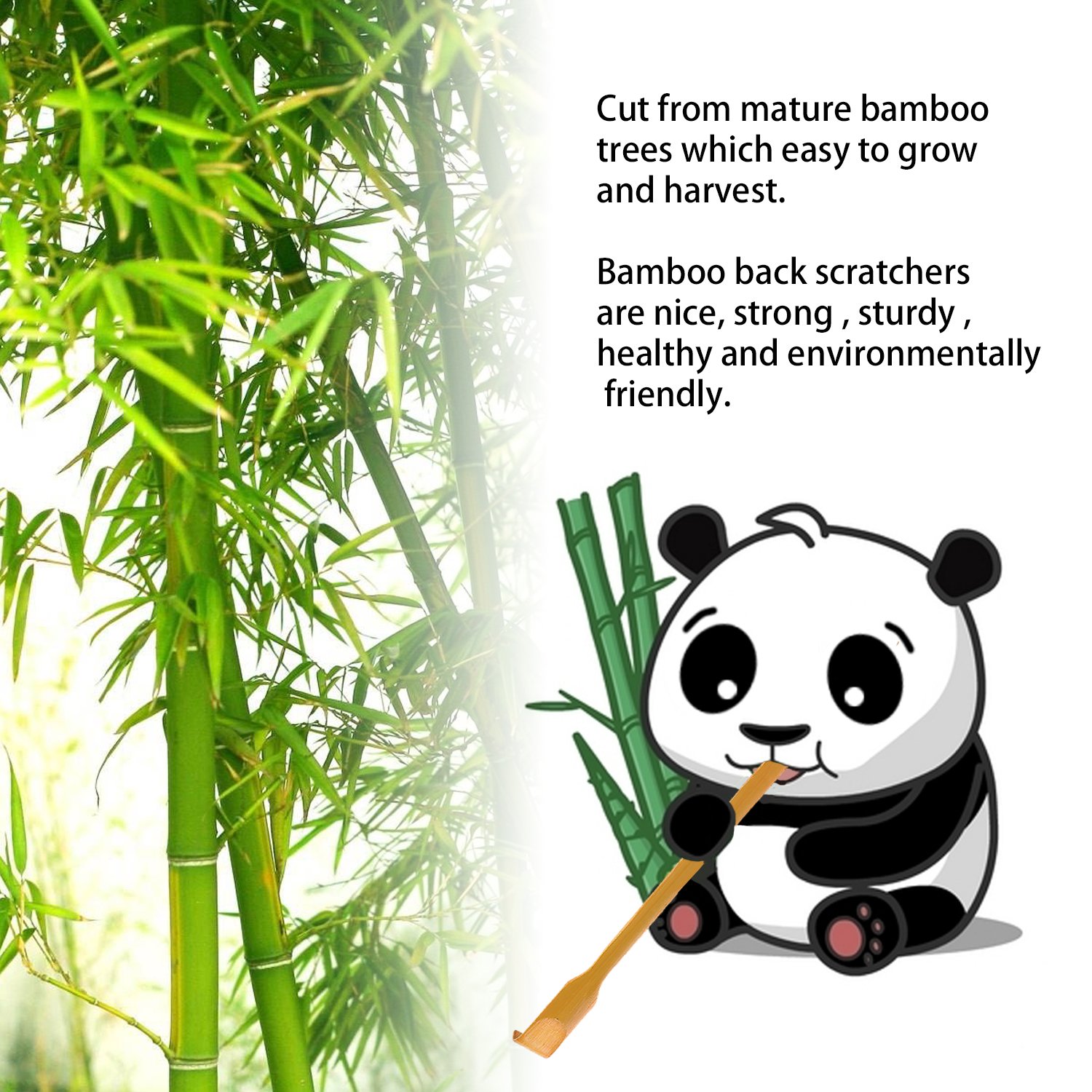 Back Scratcher, 3 Piece 17\