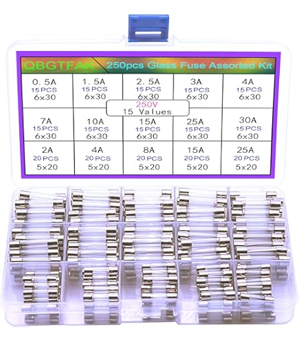 woshilaoDS Fast-blow Glass Fuses, 50 Pcs Fast Blow Glass Tube Fuses, Quick Blow Car Glass Fuses woshilaoDS Fast-blow Glass Fuses, 50 Pcs Fast Blow Glass Tube Fuses, Quick Blow Car Glass Fuses