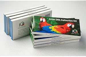 IQ GENETICS Bird DNA Gender & Disease Test Kit - Accurate Genetic Testing Supplies for Avian Gender Determination - Easy Gender Reveal with Blood, Feather, or Egg Samples - Trusted Florida Lab Service