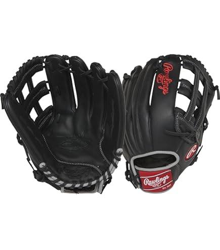 Amazon.com: Rawlings Adult General Baseball Gloves