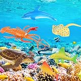 Nabance 18Pcs Sea Animal Toys Bath Pool Ocean Educational Learning Colors view 7