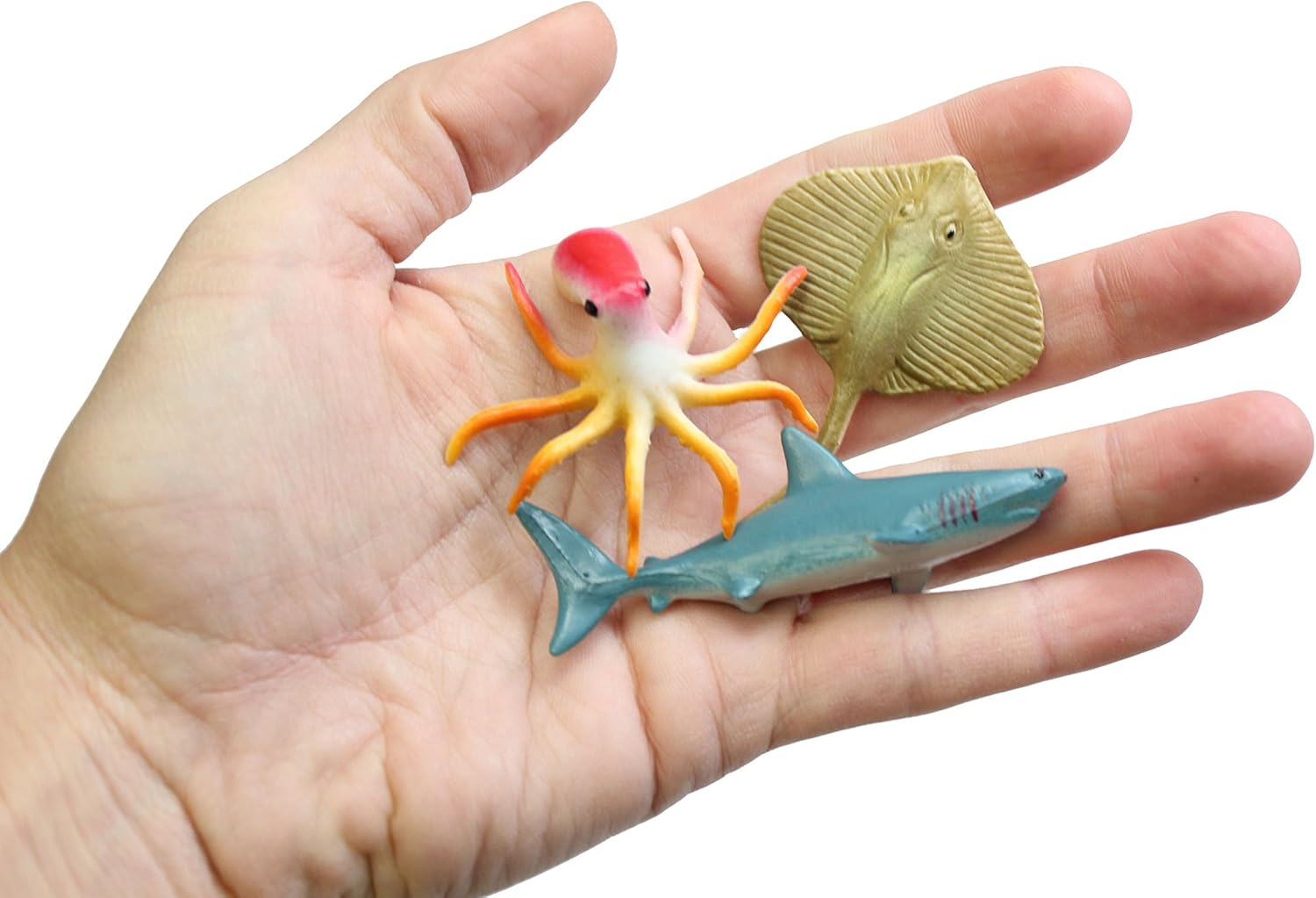 miniature ocean animals