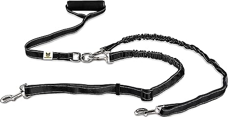 Zwillingsleine | Hundeleine für 2 Hunde | Dehnbare reflektierende Doppel-Leine 150 cm bis 220 cm mit weichem Griff für Zwei H