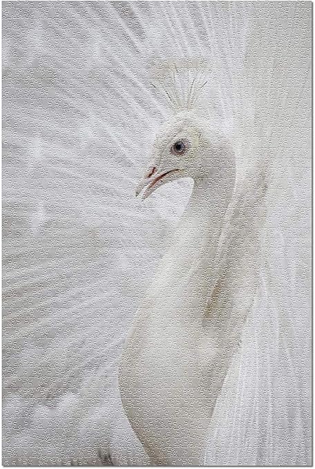 Amazon Co Jp Hdクローズアップの白孔雀 52 38cmプレミアム500ピースジグソーパズル アメリカ製 おもちゃ