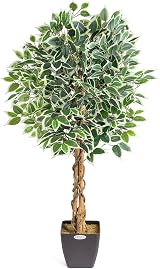 CHRISTOW 4ft Artificial Ficus Tree Variegated PEVA Leaves Wooden Trunk