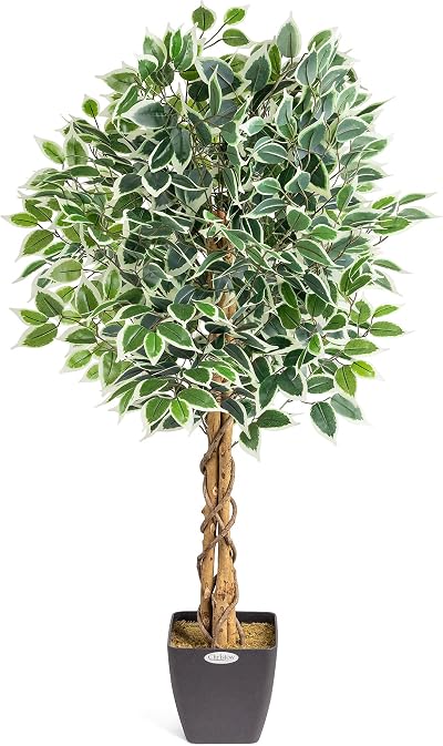 CHRISTOW 4ft Artificial Ficus Tree Variegated PEVA Leaves Wooden Trunk