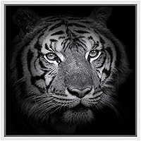 SIGNWIN Framed Canvas Wall Art Tiger Animals Wildlife Photography Realism Modern Portrait Dramatic Black and White for Living Room, Bedroom, Office - 16