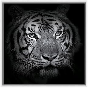 SIGNWIN Framed Canvas Wall Art Tiger Animals Wildlife...