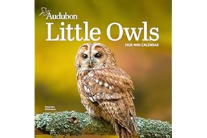 Audubon Little Owls Mini Wall Calendar 2026