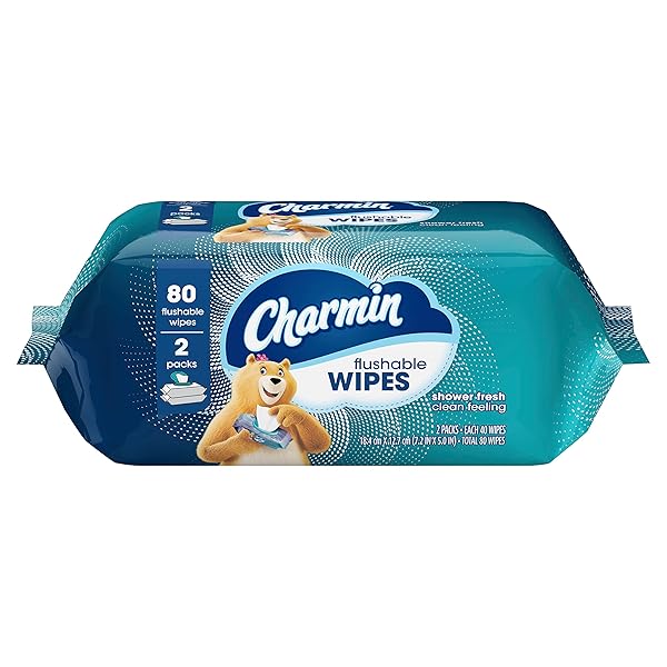 CHARMIN FLUSHABLE WIPES, 2 PACKS, 40 WIPES PER PACK, 80 TOTAL WIPES