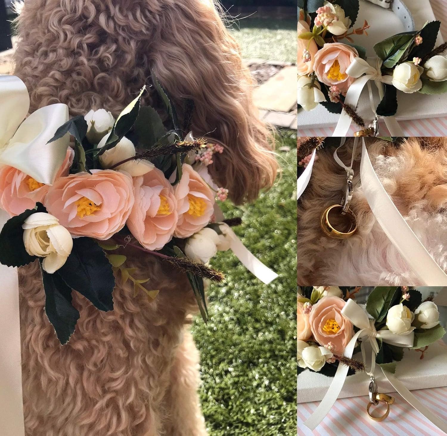 Ivory Flower Ring Bearer Dog Collar Choice Of Ribbon Colour Amazon Co Uk Handmade